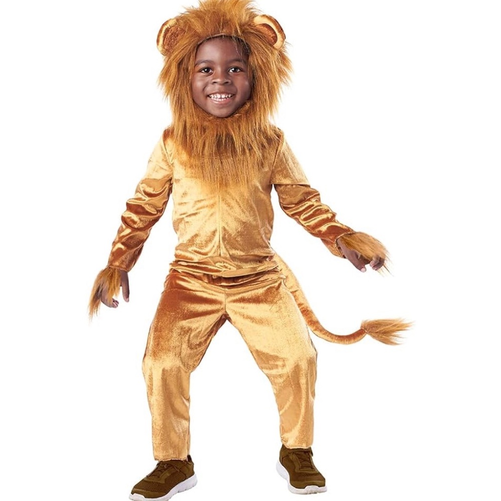 Kids Lion King Inspired Costume - Simba, Mufasa, or Generic Lion